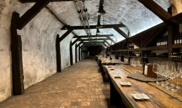 Wine Tourism in Greece: The Best Wineries for Tasting