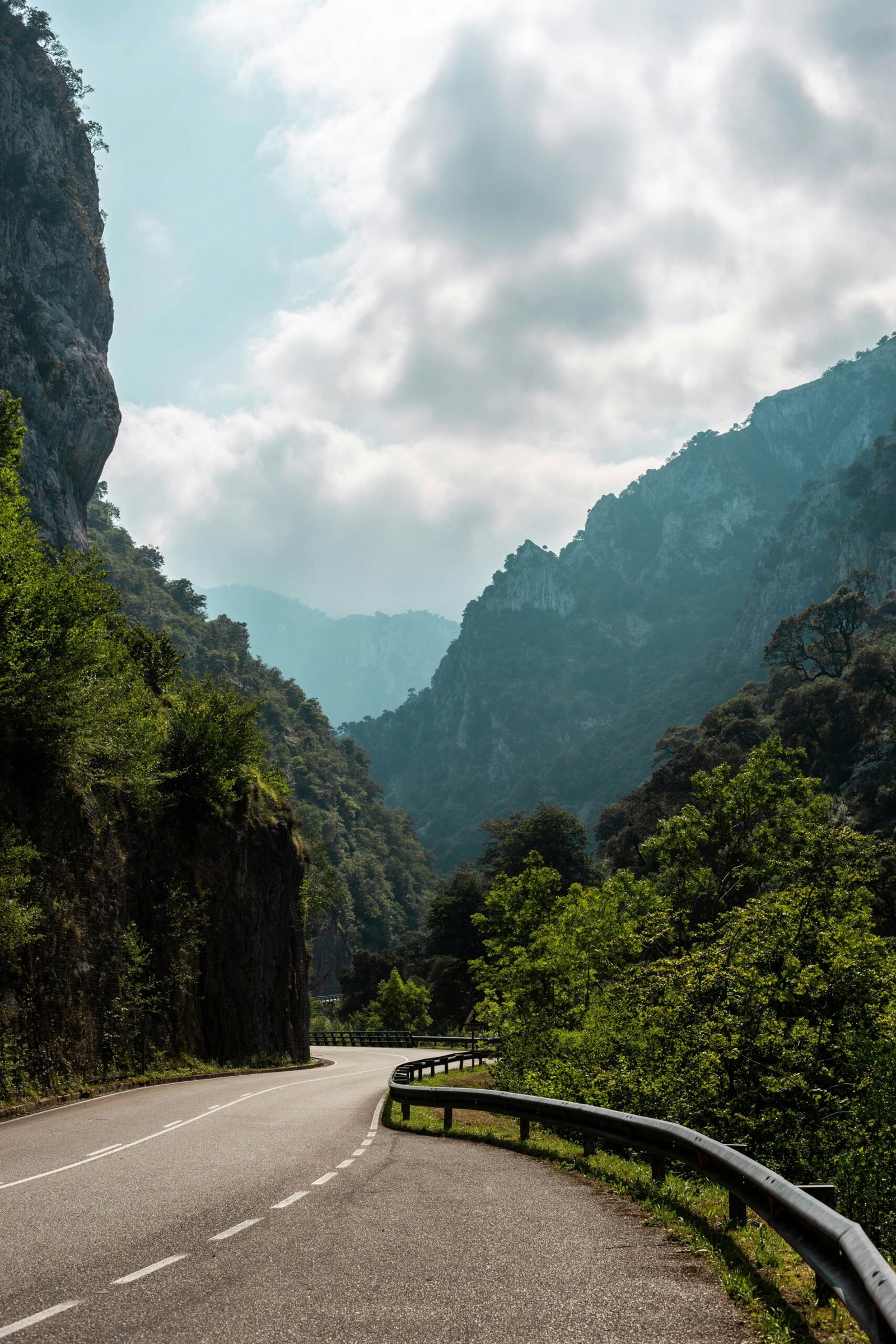 The Ultimate Guide for Road Trip in Greece: Routes and Stops You Shouldn't Miss 2 road near forest